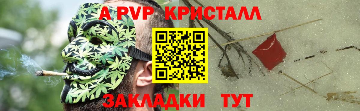 Выборг  Alfa_PVP СК  A PVP VHQ  Вход с VPN 